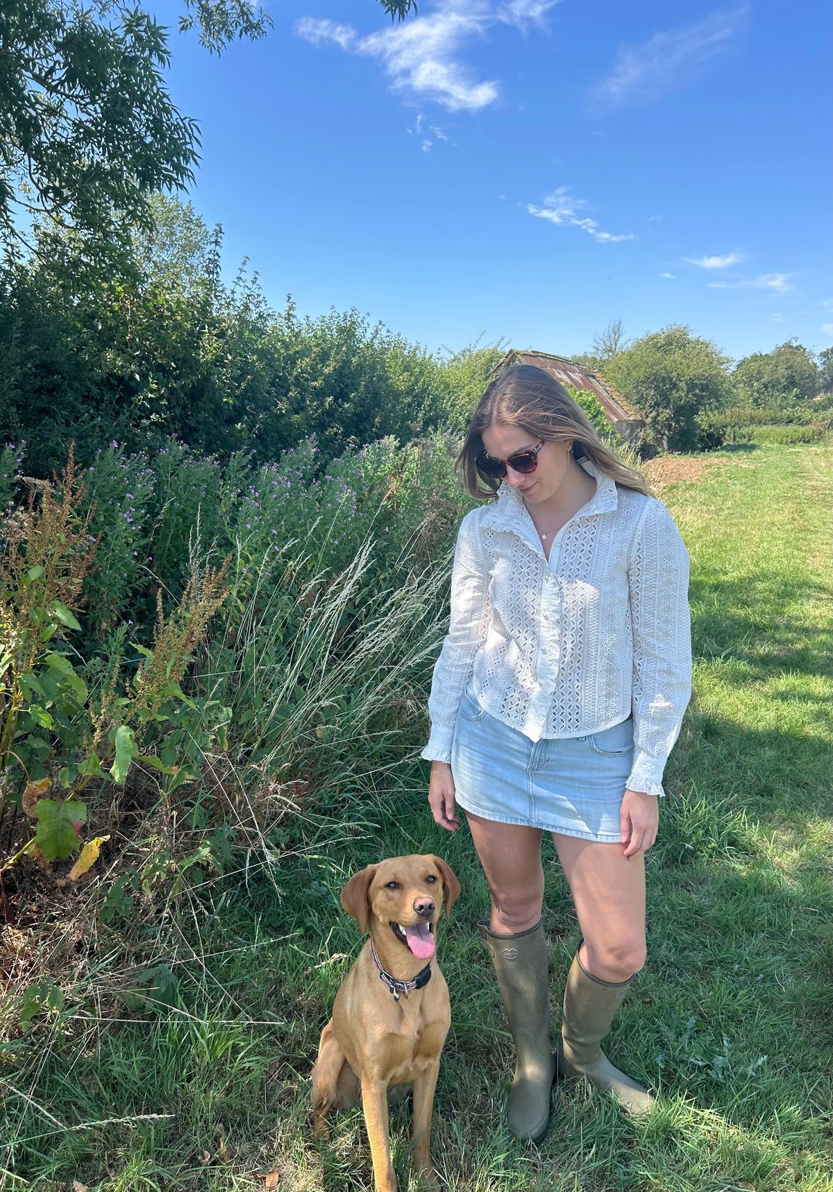 With a red fox labrador